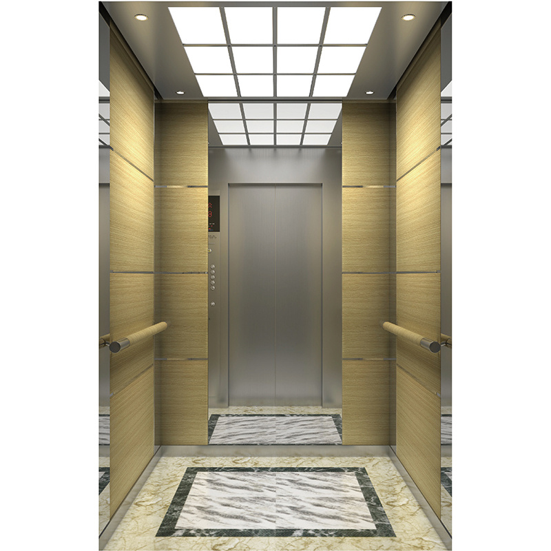 Customized Commercial Office Building Elevator Mr Mrl Passenger Elevator for Residential