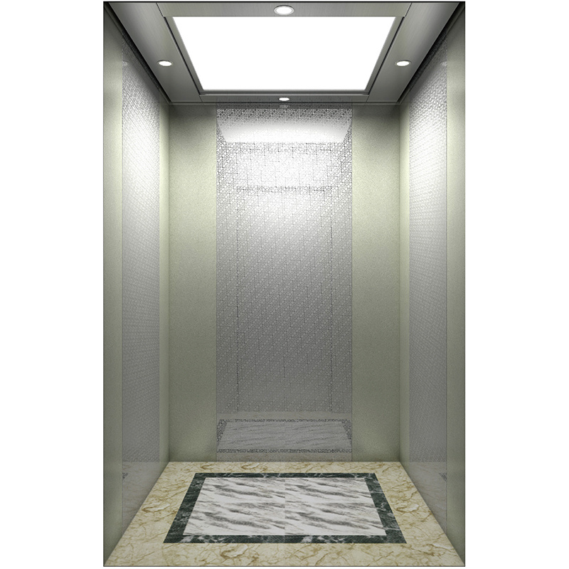 Customized Residential Elevator for Passenger Use Commercial Lift for Office Building