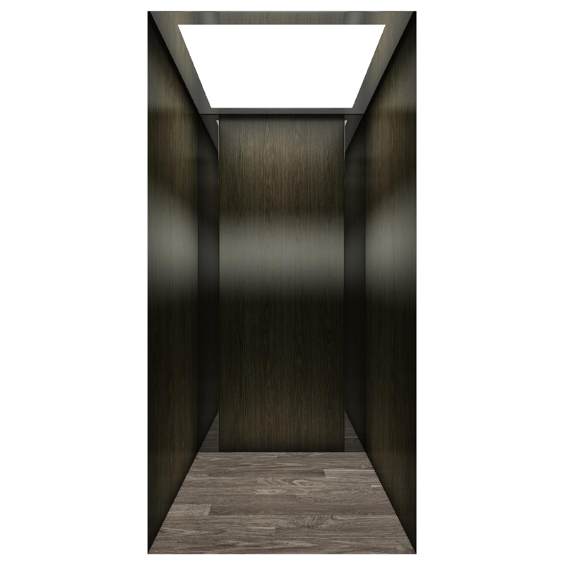 Small Villa Elevator Home Use with safety Gearless Machine Passenger Lift